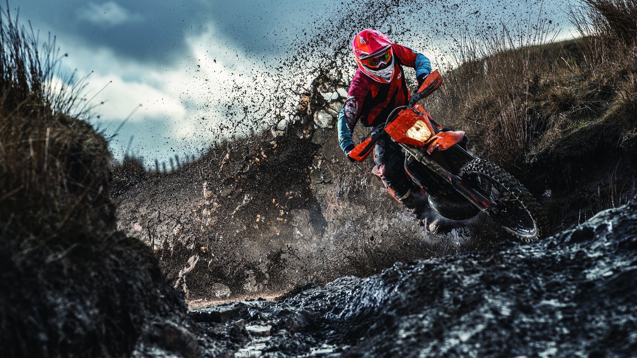 大卫·波波维奇完美入水引爆全场，大卫 波波维奇